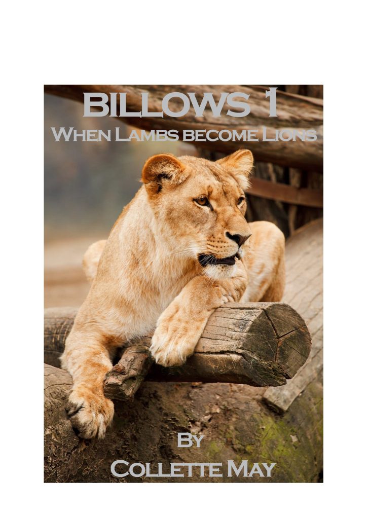 Billows 1 Cover