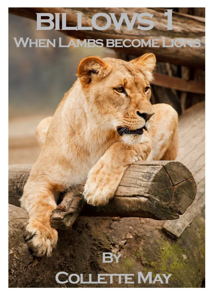 Book cover from the Billows Series by Collette May